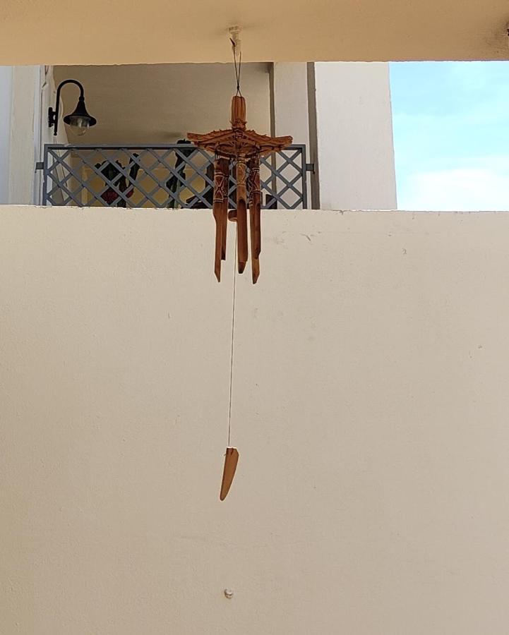 Ohana طريفة المظهر الخارجي الصورة